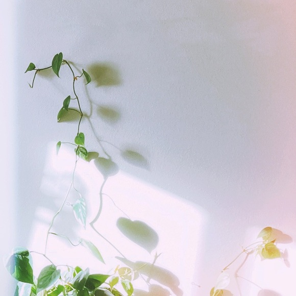 O i . - Picture 4 of 4